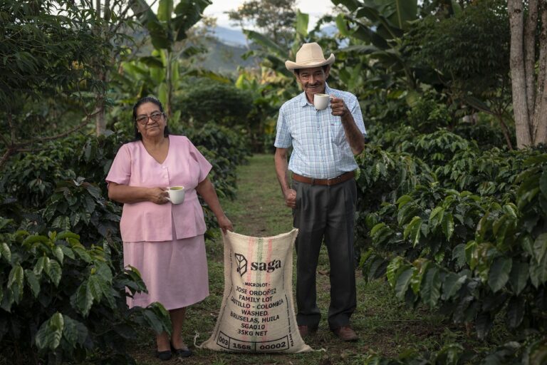 Farm-to-Table Movement: Connecting Consumers with Local Produce