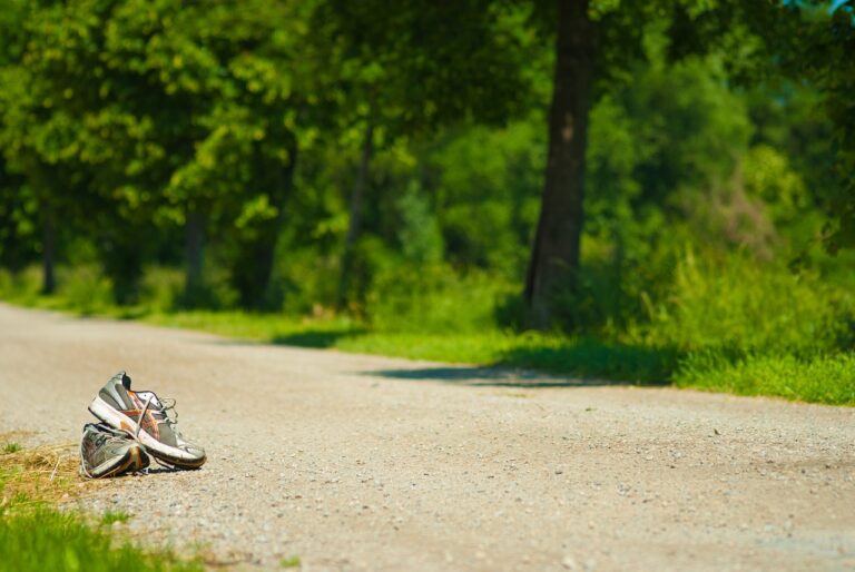 The Best Cricket Accessories for Training