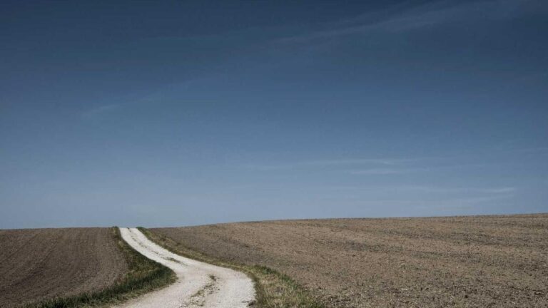 What Are The Steps To Get 11Xplay Download Apk For Android?