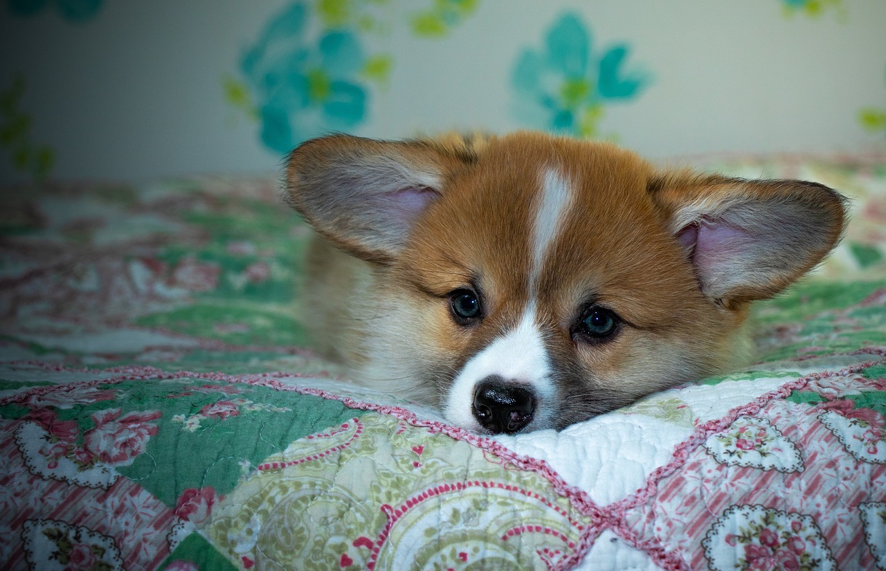 99exch Review: How India’s Integrated Trading Platform is Shaping the Future of Finance